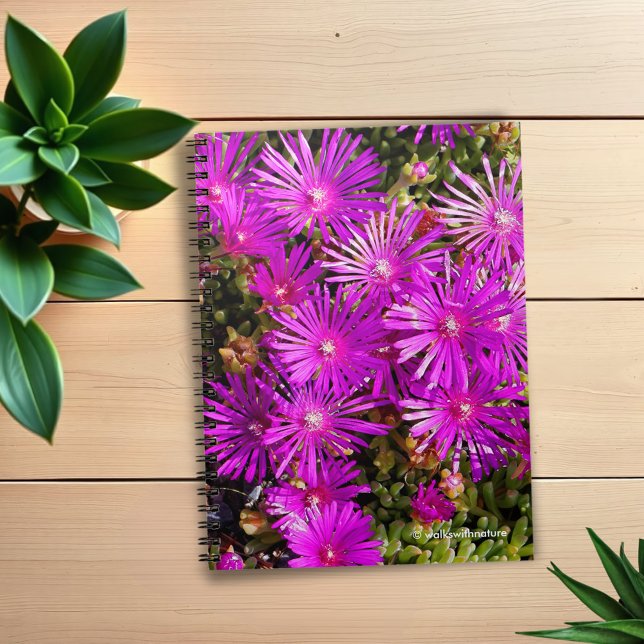 Cuaderno Hermosas plantas de hielo púrpura (Purple Iceplants Journal Cover Photo)