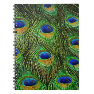 Cuaderno Hermosas plumas de pavo real