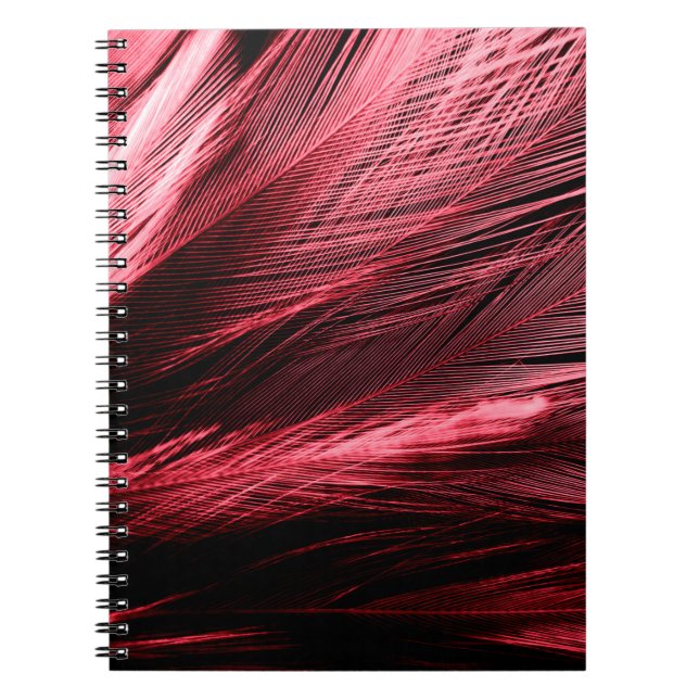 Cuaderno Hermosas plumas rojas abstractas sobre fondo oscur (Frente)