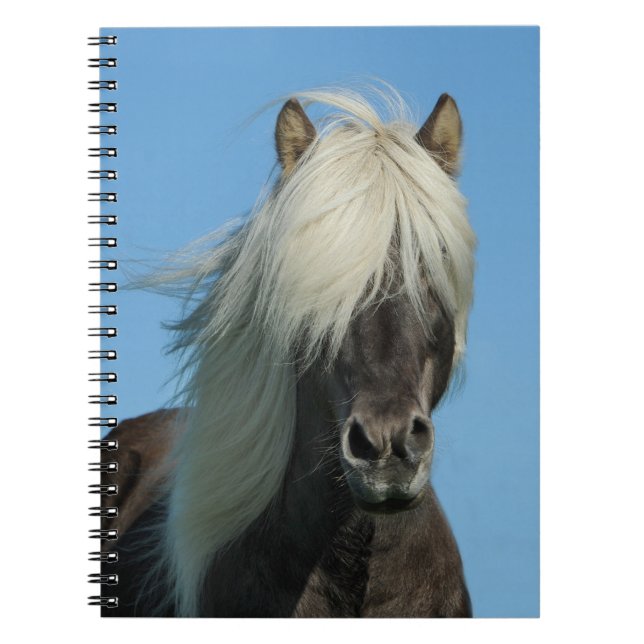 Cuaderno Hermoso caballo (Frente)