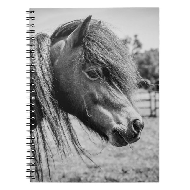 CUADERNO HERMOSO CABALLO (Frente)