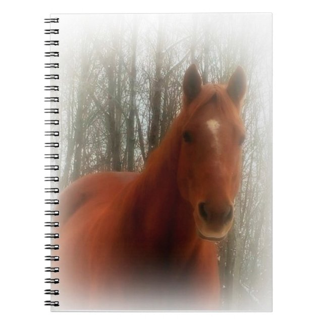 Cuaderno Hermoso caballo (Frente)