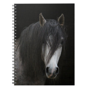 Cuaderno Hermoso caballo
