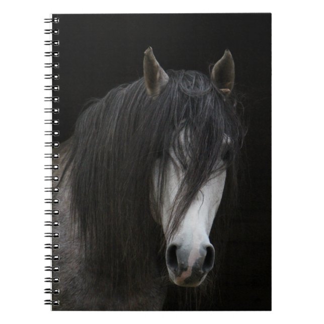 Cuaderno Hermoso caballo (Frente)