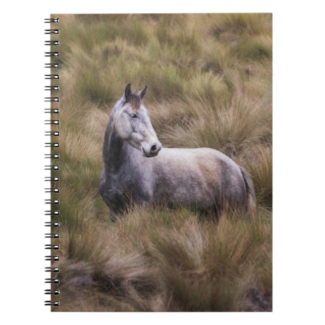 Cuaderno Hermoso caballo de color gris (Frente)