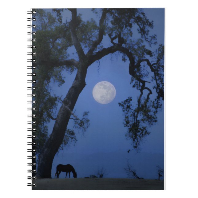 Cuaderno Hermoso caballo portátil para remate, luna de robl (Frente)
