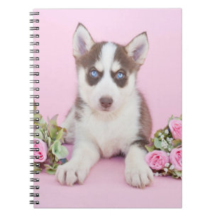 Cuaderno Hermoso cachorro humilde con rosas rosas rosas