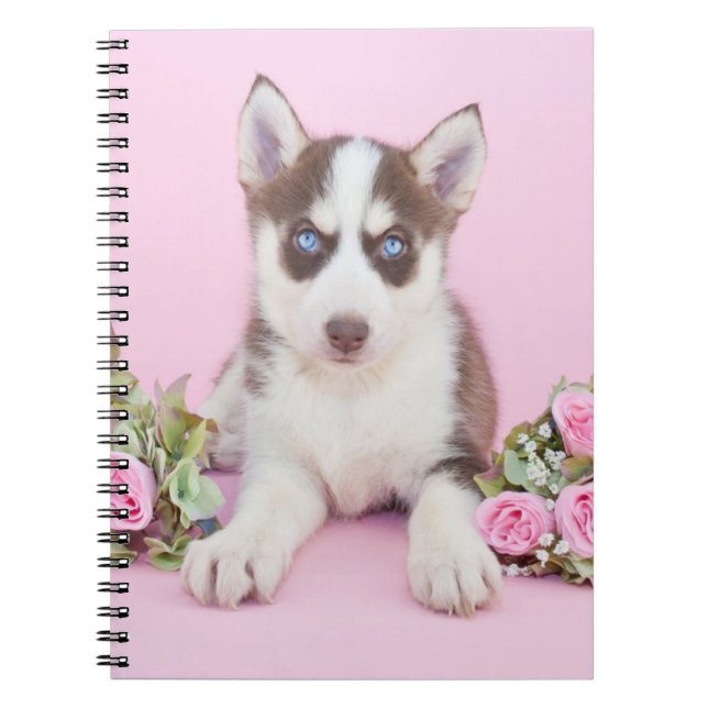 Cuaderno Hermoso cachorro humilde con rosas rosas rosas (Frente)