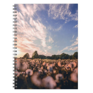 Cuaderno hermoso cielo sobre la llanura