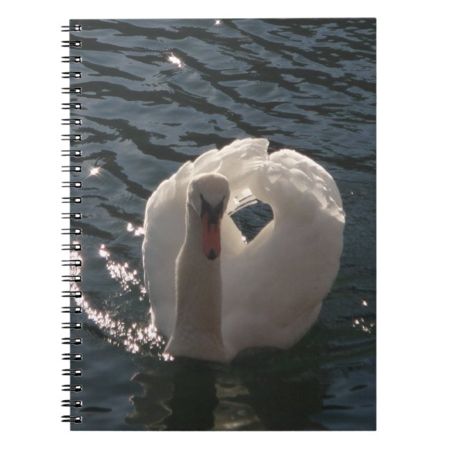 Cuaderno Hermoso cisne blanco (Frente)
