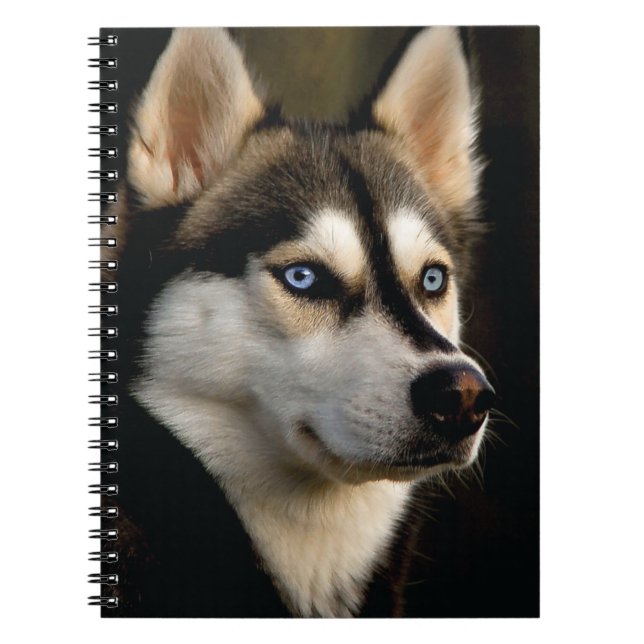 Cuaderno Hermoso Cojín decorativo Husky (Frente)