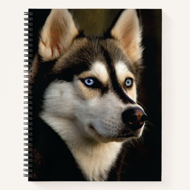 Cuaderno Hermoso Cojín decorativo Husky (Anverso)