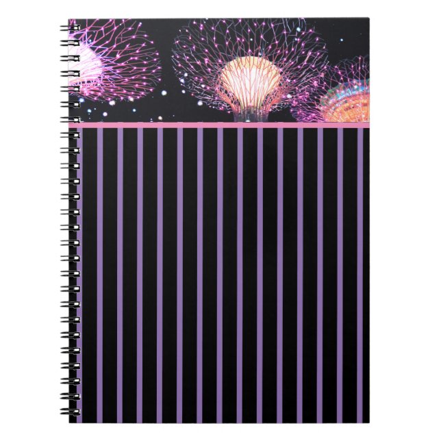 Cuaderno hermoso de las posibilidades (Frente)