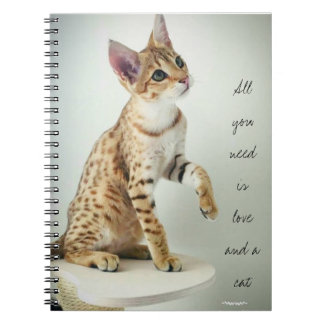 Cuaderno hermoso del amante del gato