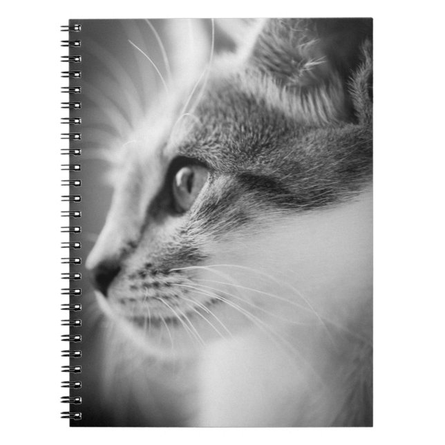 Cuaderno hermoso del gatito (Frente)