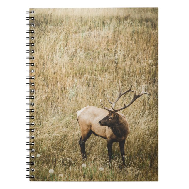 CUADERNO HERMOSO ELK DEER (Frente)