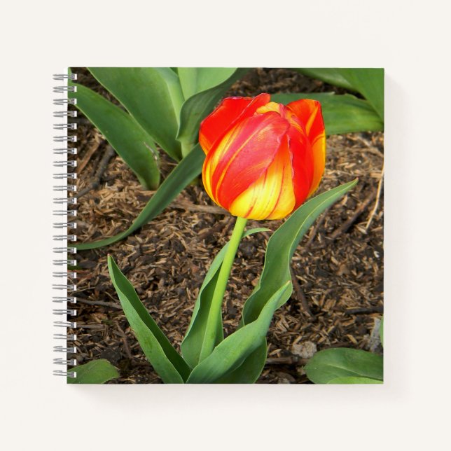 Cuaderno Hermoso en primavera...... (Anverso)
