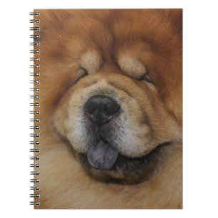 CUADERNO HERMOSO FLUFFY ROJO CHOW CHOW PERRO