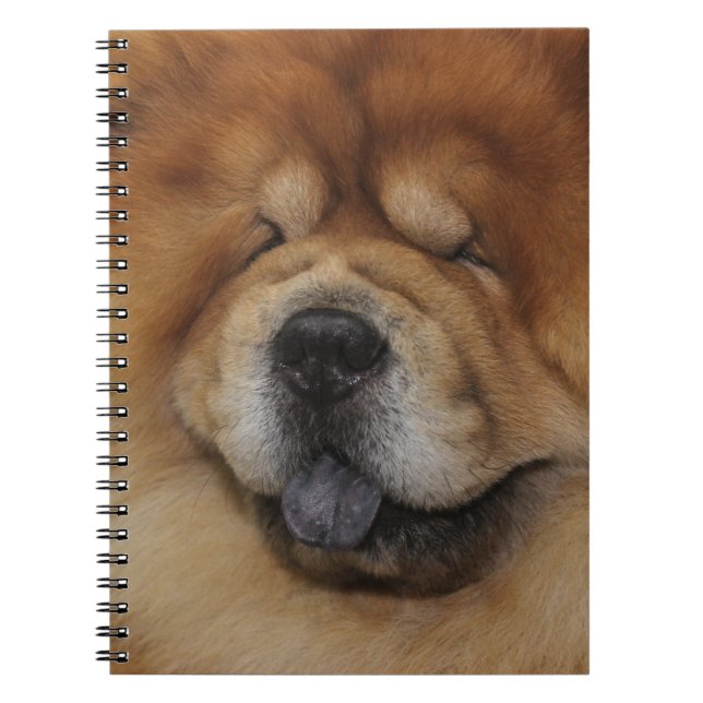 CUADERNO HERMOSO FLUFFY ROJO CHOW CHOW PERRO (Frente)