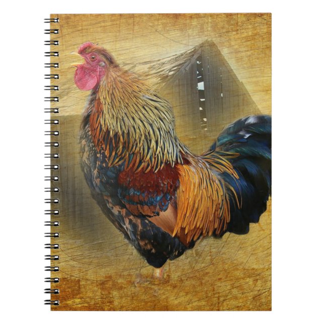 Cuaderno Hermoso gallo y rústico gallinero (Frente)