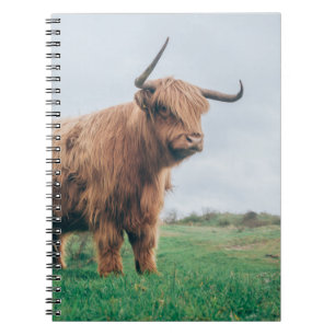 CUADERNO HERMOSO GANADO DE HIGHLAND