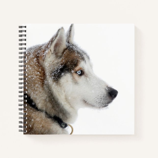 Cuaderno Hermoso Husky Siberiano en la Nieve (Anverso)