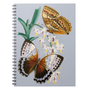 Cuaderno Hermoso Ilustracion de mariposa floral vintage