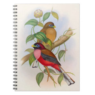 Cuaderno Hermoso Ilustracion de pájaro vintage colorido