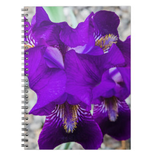 Cuaderno Hermoso iris morado