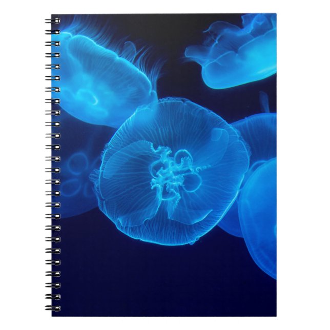 CUADERNO HERMOSO JELLYFISH (Frente)