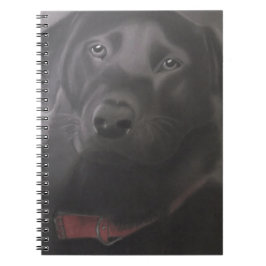 Cuaderno Hermoso Labrador Recuperador