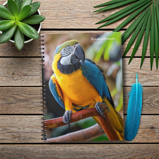 Cuaderno Hermoso macao azul y dorado (Beautiful Blue and Gold Macaw on a Branch Journal Cover Photo)