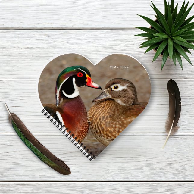 Cuaderno Hermoso momento conmovedor entre pollos de madera (A Touching Moment Between Wood Ducks Journal Cover Photo)