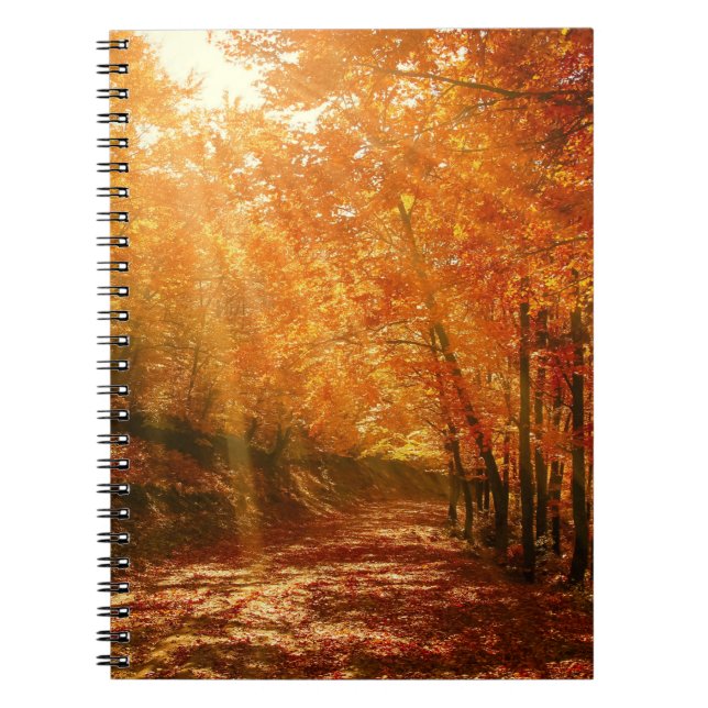 Cuaderno Hermoso otoño (Frente)
