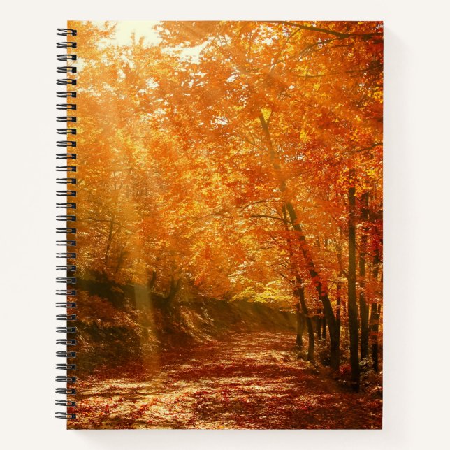 Cuaderno Hermoso otoño (Anverso)