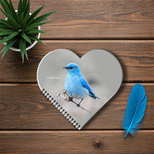 Cuaderno Hermoso pájaro azul de la montaña en el Tansy