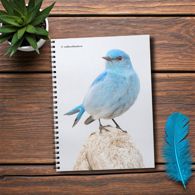 Cuaderno Hermoso pájaro azul de montaña en la playa (Beautiful Mountain Bluebird at the Beach Journal Cover Photo)