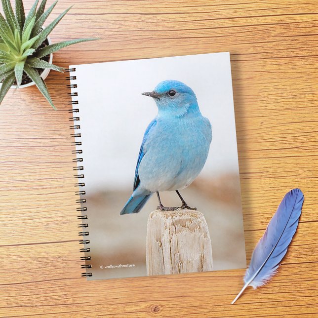 Cuaderno Hermoso pájaro azul de montaña en la playa (Beautiful Mountain Bluebird on Beach Stump Journal Cover Photo)