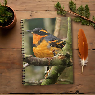 Cuaderno Hermoso pájaro de Thrush Variado en el árbol