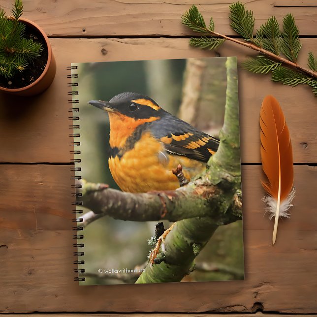 Cuaderno Hermoso pájaro de Thrush Variado en el árbol (Beautiful Varied Thrush in the Tree Journal Cover Photo)