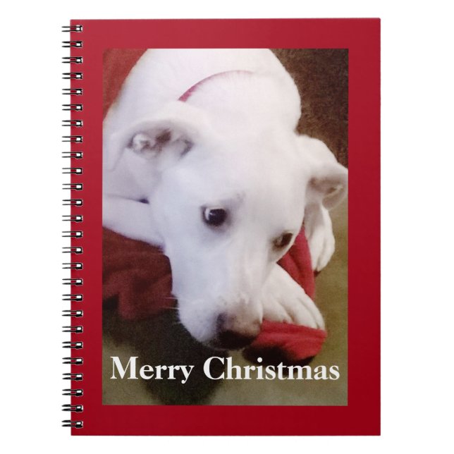 Cuaderno Hermoso perro blanco nevado Navidad Rojo (Frente)