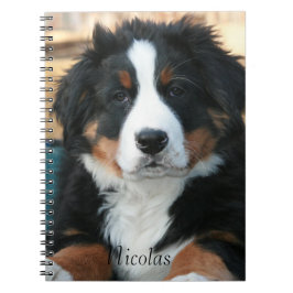 Cuaderno Hermoso Perro de Montaña Bernés