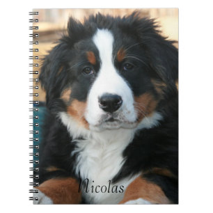 Cuaderno Hermoso Perro de Montaña Bernés