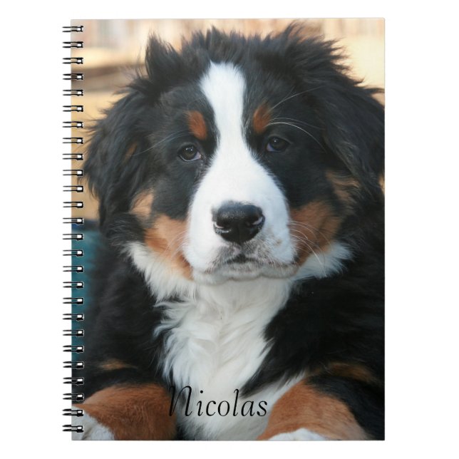 Cuaderno Hermoso Perro de Montaña Bernés (Frente)