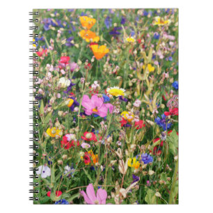 Cuaderno hermoso prado colorido de flores silvestres
