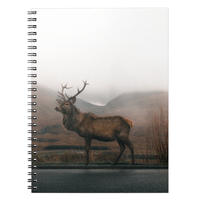 CUADERNO HERMOSO REINDEDOR (Frente)