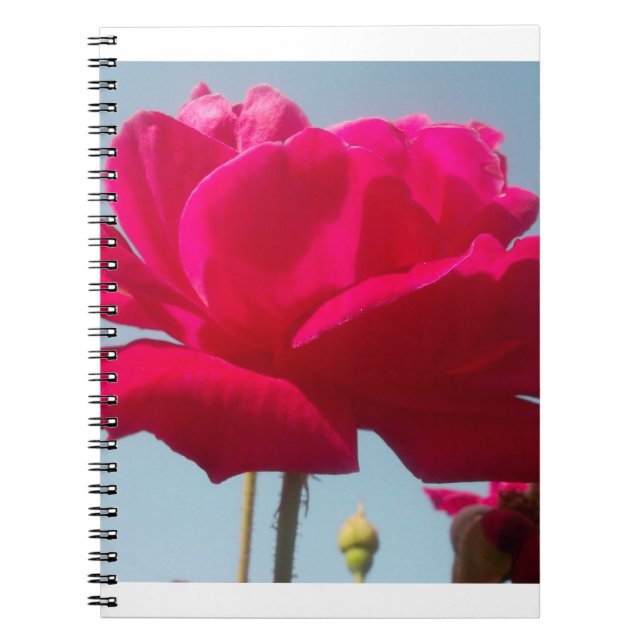 Cuaderno Hermoso Rosa Celestial Rojo Contra Azul (Frente)