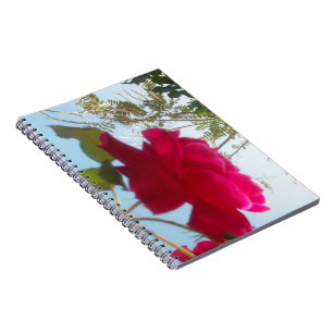 Cuaderno Hermoso Rosa Celestial: Rojo contra Azul