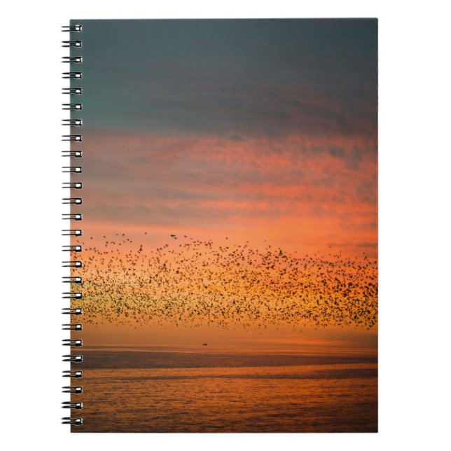 CUADERNO HERMOSO SOL CON AVES (Frente)