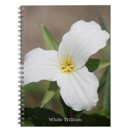 Cuaderno Hermoso trillium blanco